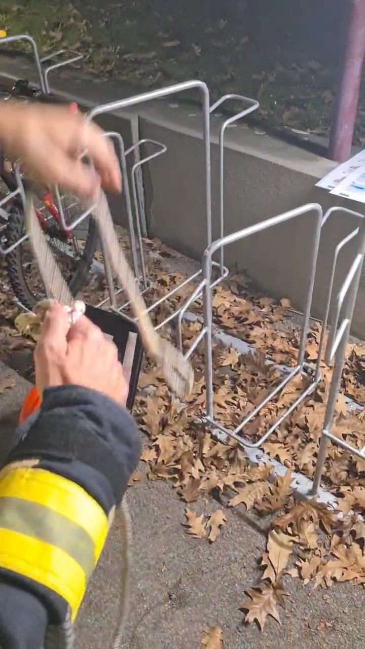 Es herbschtelet. Mit spannenden und abwechslungsreichen Übungen haben wir den Jahresendspurt in Angriff genommen 💪.